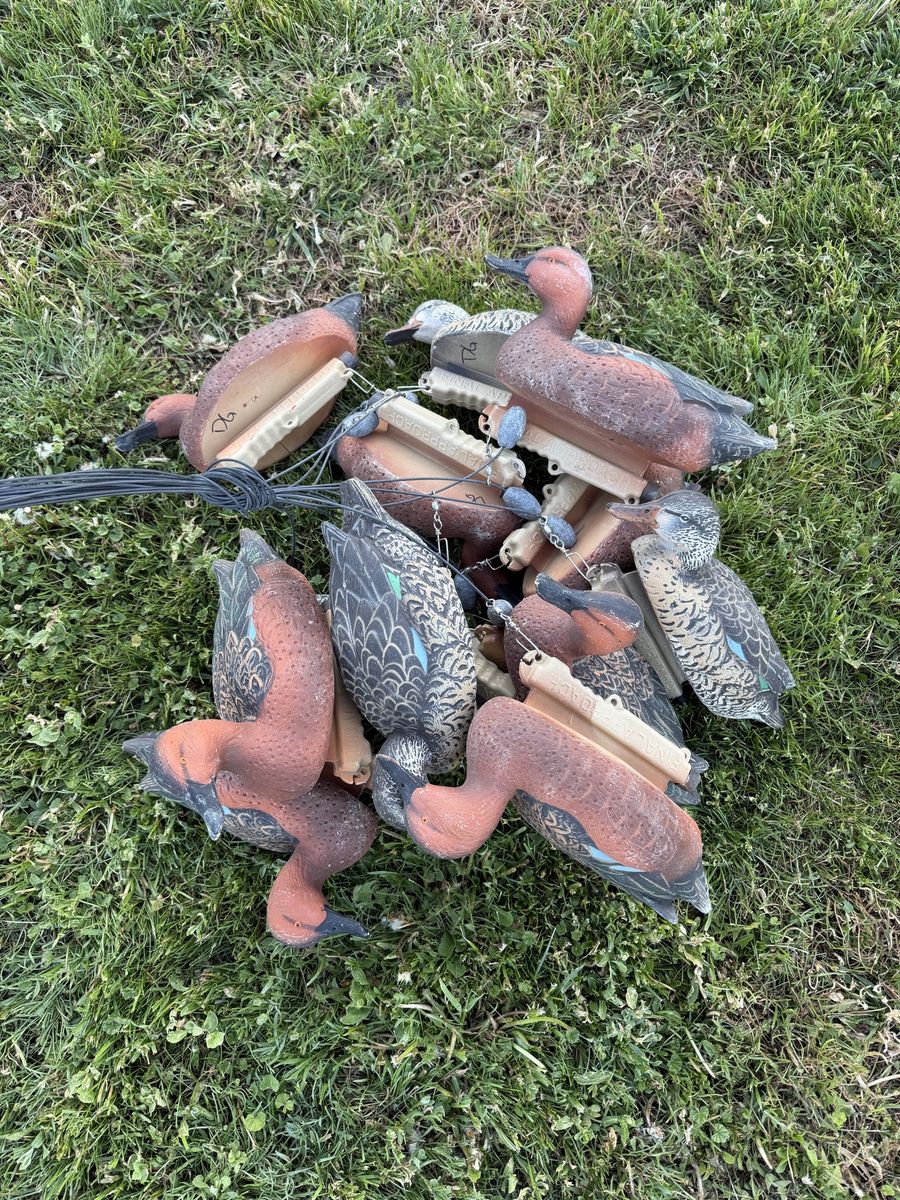 Final Approach Cinnamon Teal Decoys