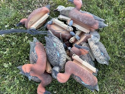Final Approach Cinnamon Teal Decoys