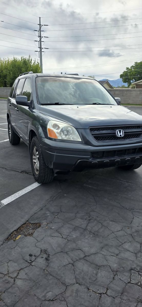 Main image 8