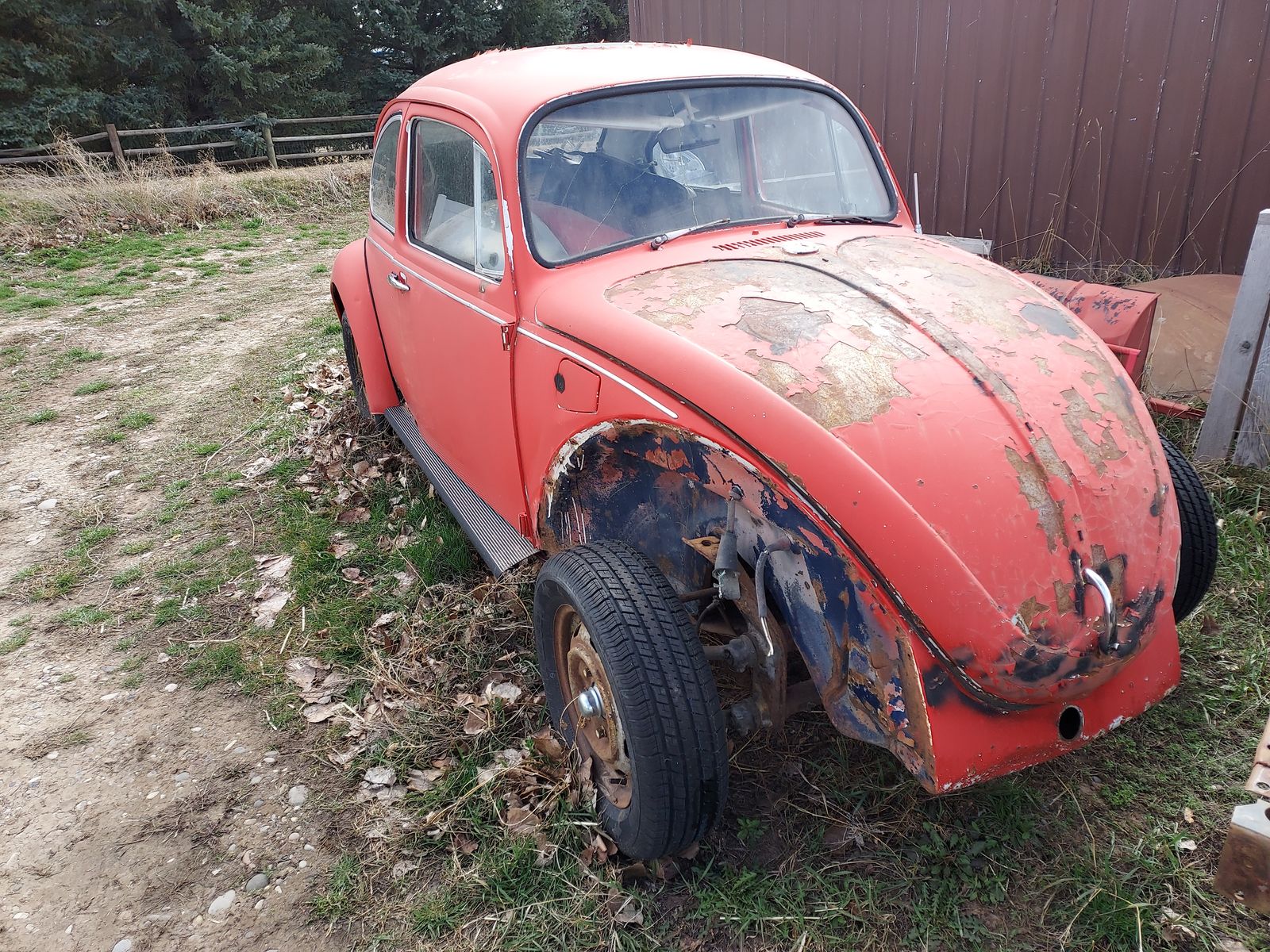 1970 volkswagen beetle