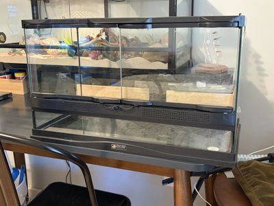 ZooMed 10 gallon reptile/invertebrate enclosure