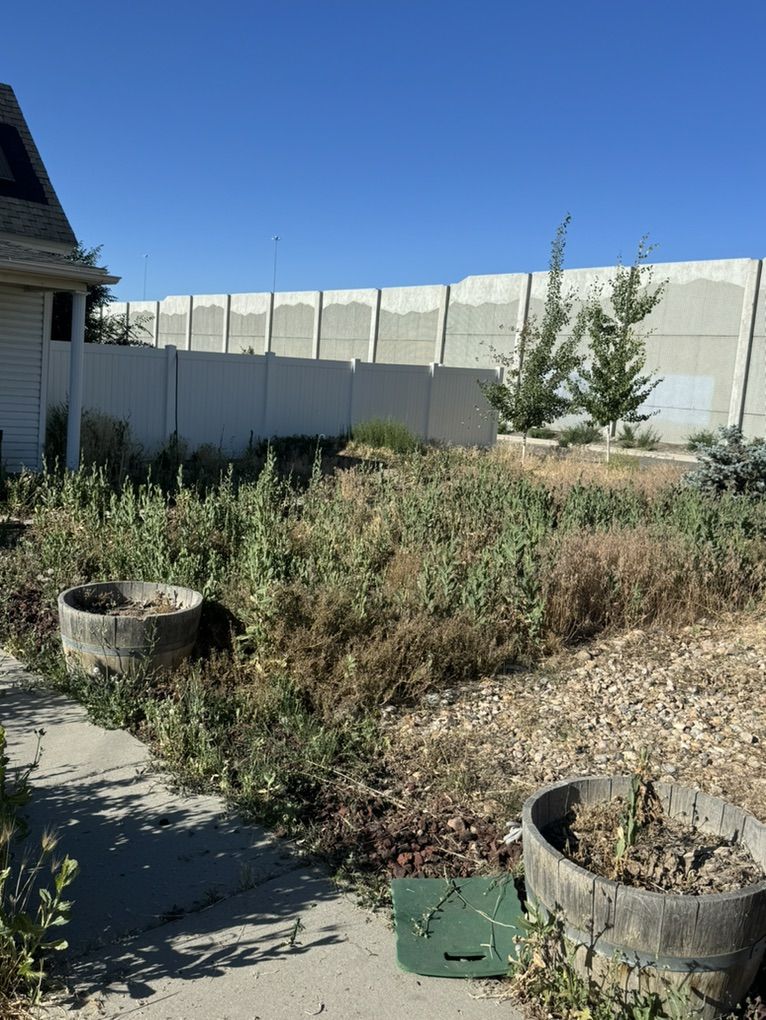 Weeds Remove Yard Clean Up Mowing