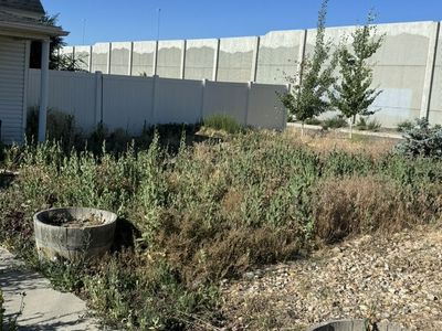 Weeds Remove Yard Clean Up Mowing