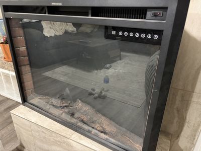 Electric Fireplace Insert