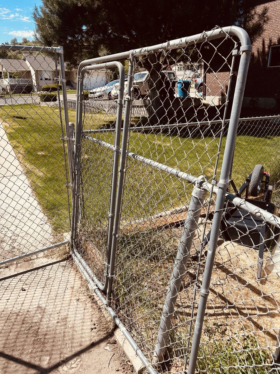 Large dog run