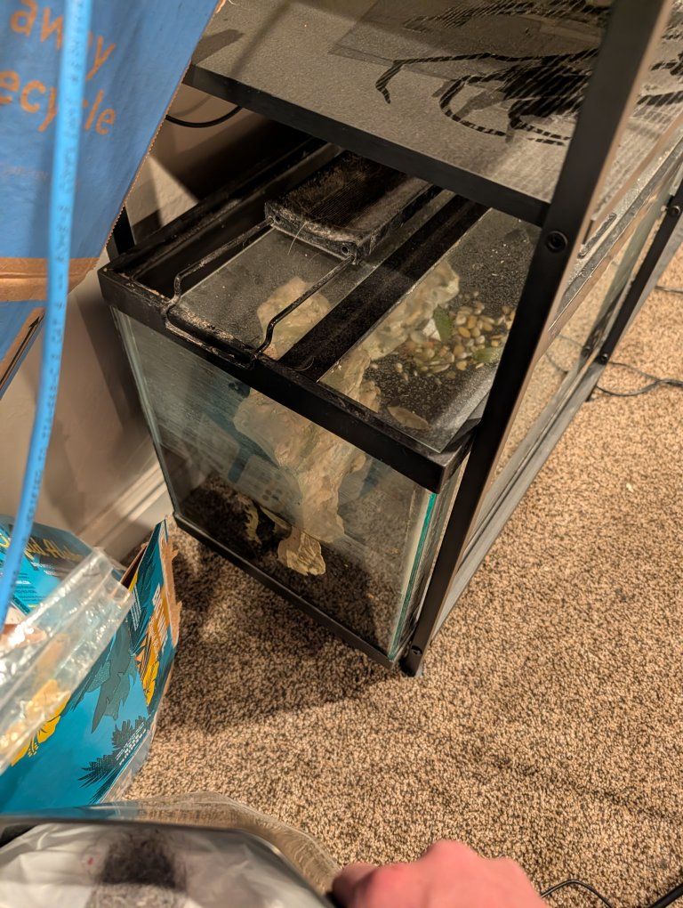 10 gallon fish tank
