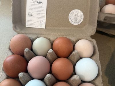 Fresh Organic Farm Raised Eggs