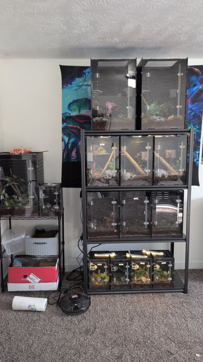 everything is for sale!