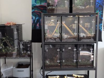 everything is for sale!