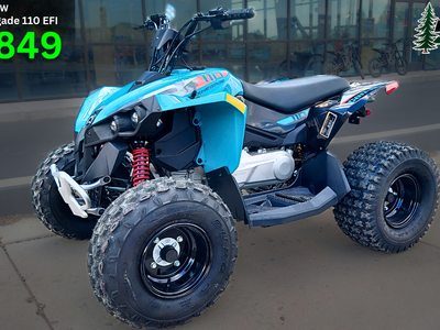 2026 Can-Am Renegade 110 EFI Youth ATV