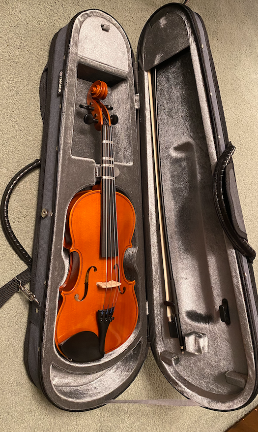 Viola, 14 Inch