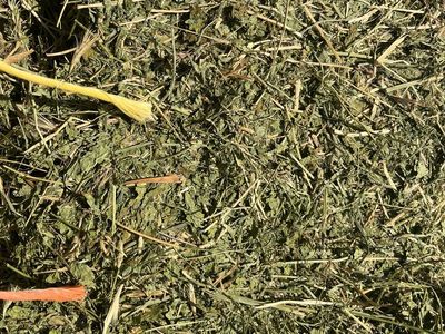 3x3x8 alfalfa second cut no rain
