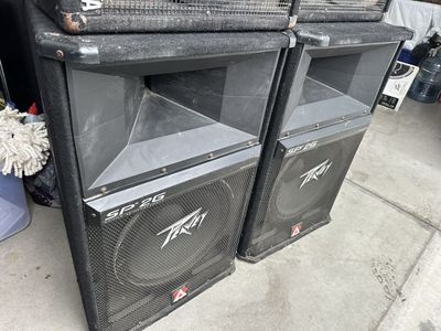Peavey 15 passive Speakers