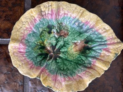 antique Etruscan Majolica begonia leaf tray
