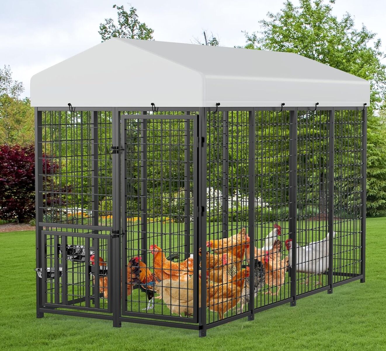 New in box Dog Kennel or Chicken coop