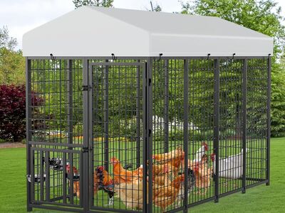 New in box Dog Kennel or Chicken coop