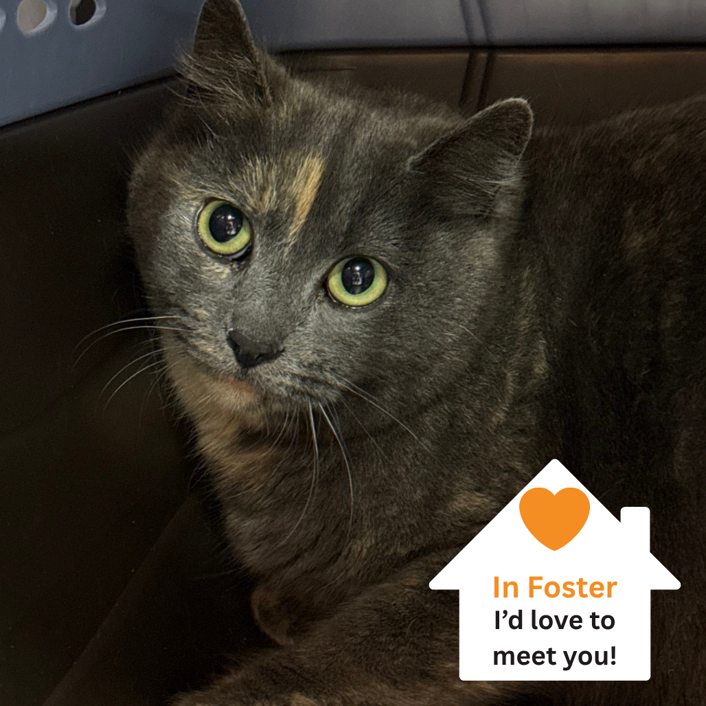 Hello my name is Paris