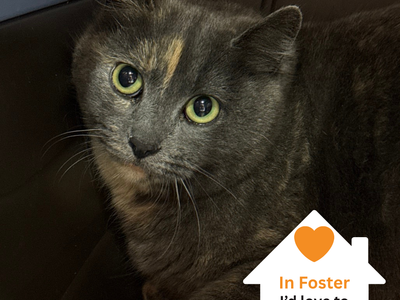 Hello my name is Paris