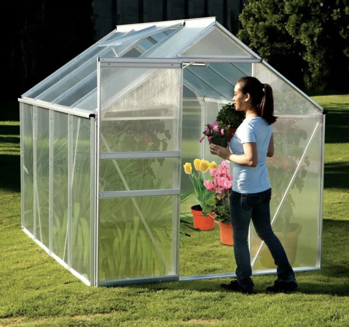 BRAND NEW Greenhouse