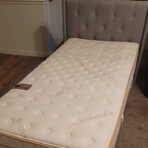 Saatva Classic twin xl mattress and bed frame