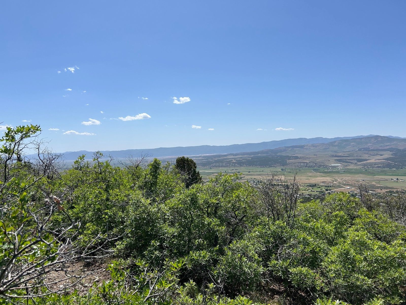 Main image 5