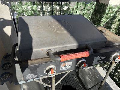 22 Inch Blackstone Griddle with Hood, Side Burner