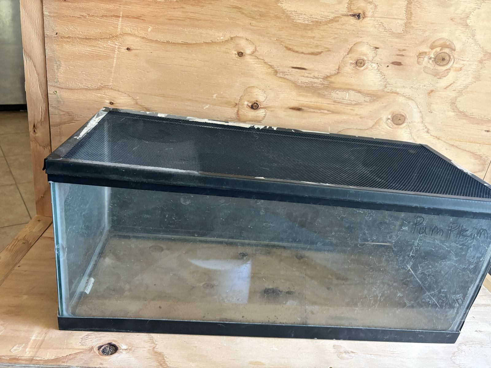 20 gallon long tanks