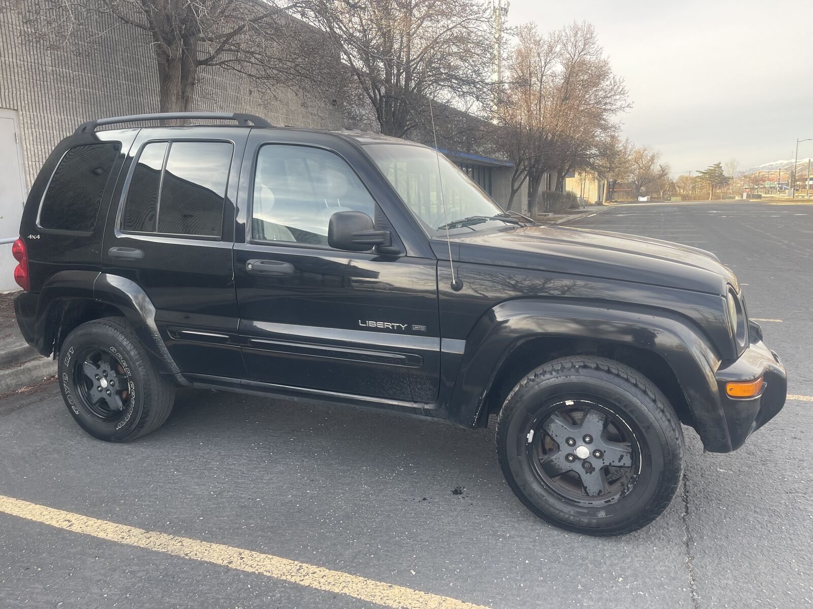 2002 JEEP LIBERTY