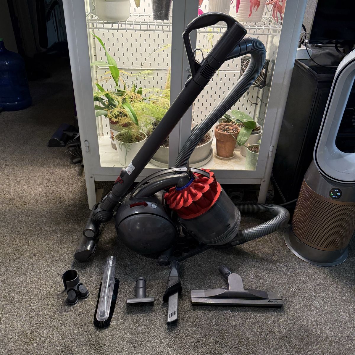 CLEAN Dyson dc39 animal vacuum