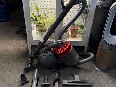 CLEAN Dyson dc39 animal vacuum