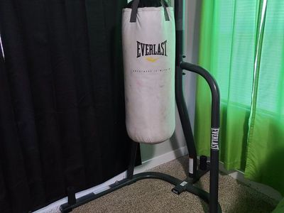 Everlast Punching Bag and Stand