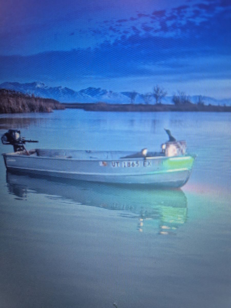 Jon Boat 11' with removable light's