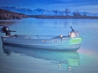 Jon Boat 11' with removable light's