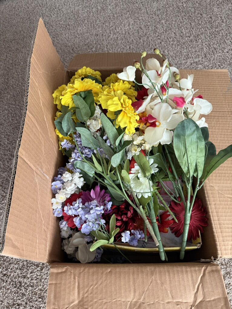 Tons of Flower Heads And Full Flowers