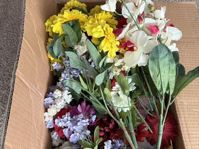 Tons of Flower Heads And Full Flowers