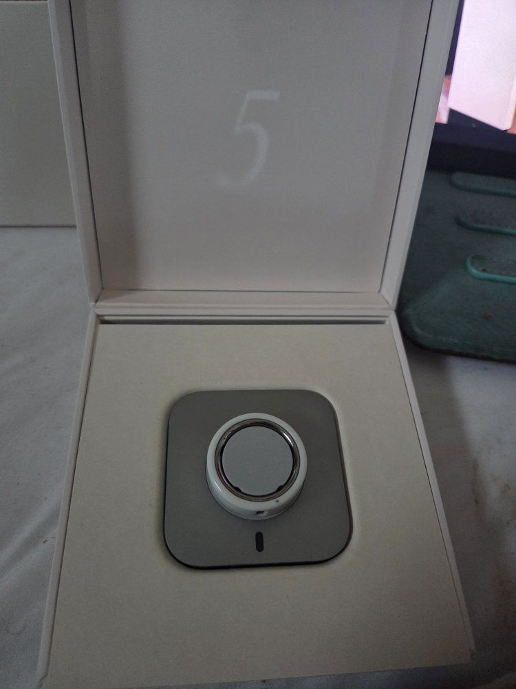 Oura Ring 4 Size 10