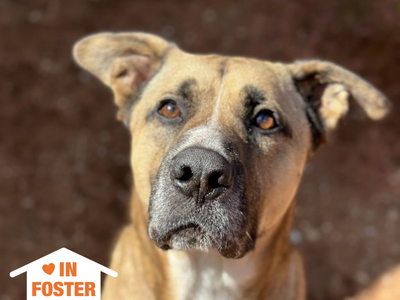 Hello my name is Roland