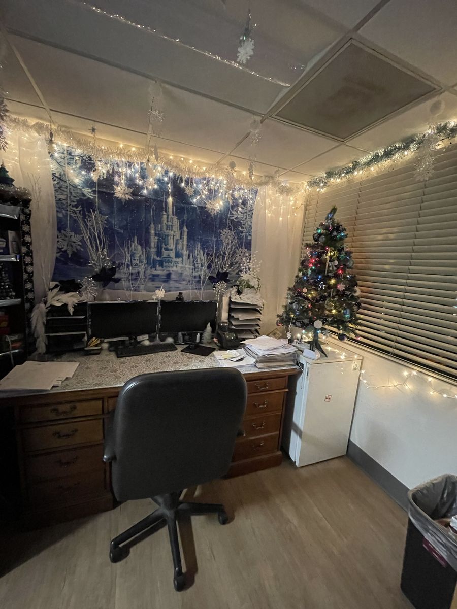 Frozen/Winter wonderland Christmas Decorations. 