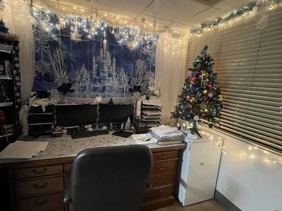 Frozen/Winter wonderland Christmas Decorations.