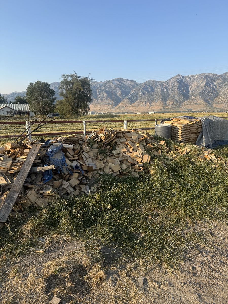 Main image 6