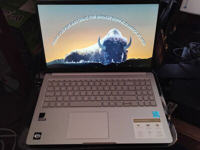 Asus 15.6" Laptop computer.