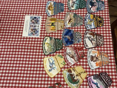 36 Vintage 2005 National Scout Jamboree Utah National Parks Council Dinosaur Patch Collection Lot w/cards *Rare* STAFF patches