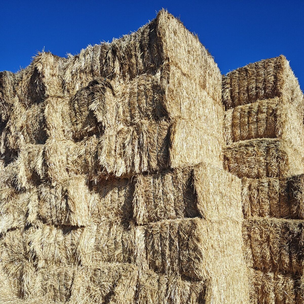 3x4 wheat straw