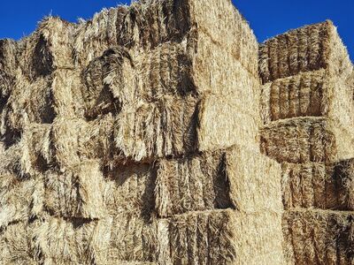 3x4 wheat straw