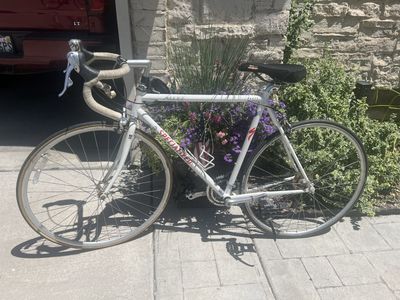 Specialized Allez Road Bike - White - Classic Steel Frame - Used