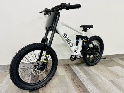 Bussin Ebike 20"