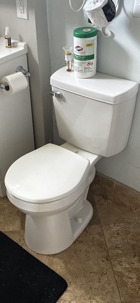 Low Toilet