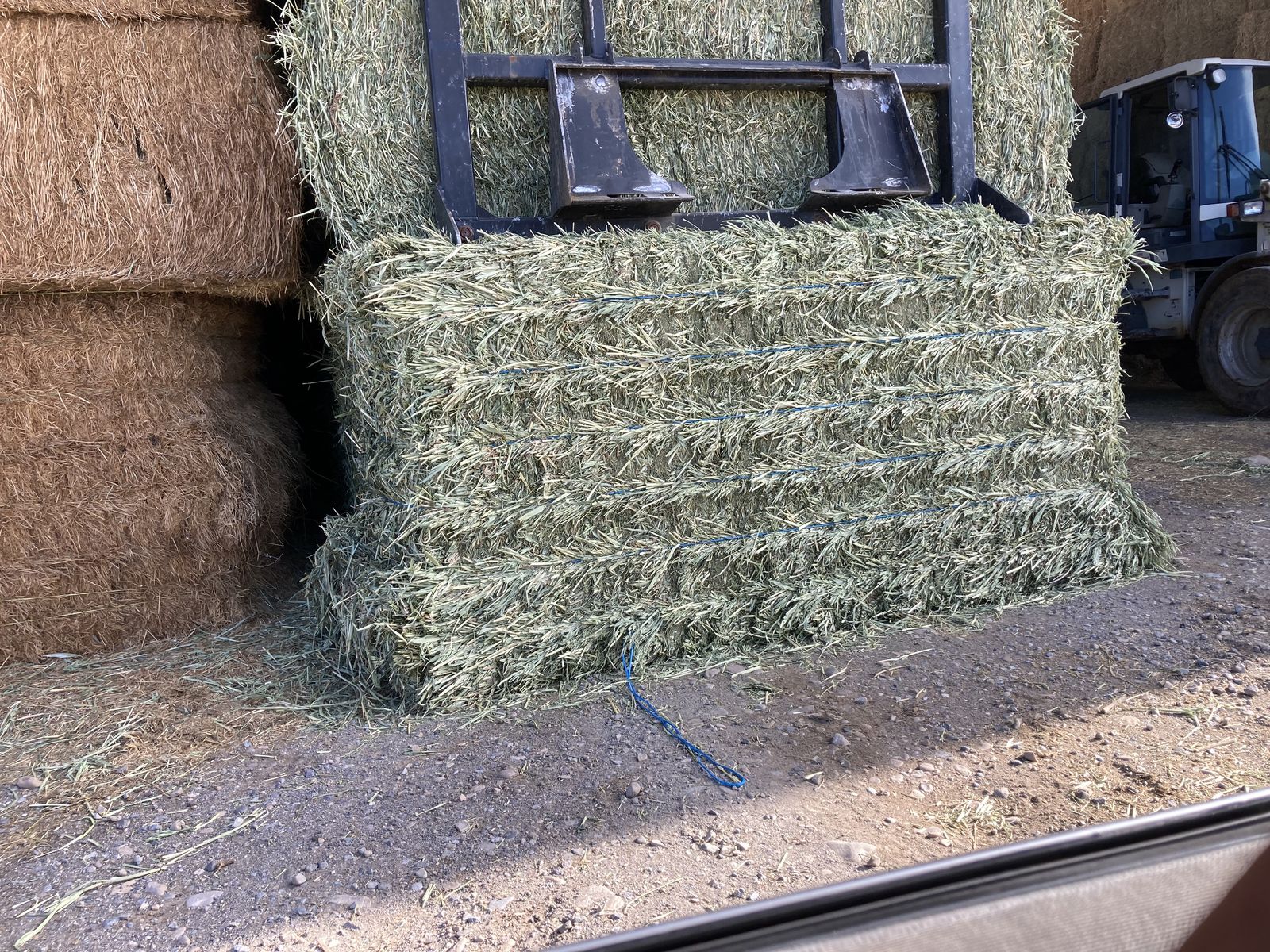 3x4 oat alfalfa hay