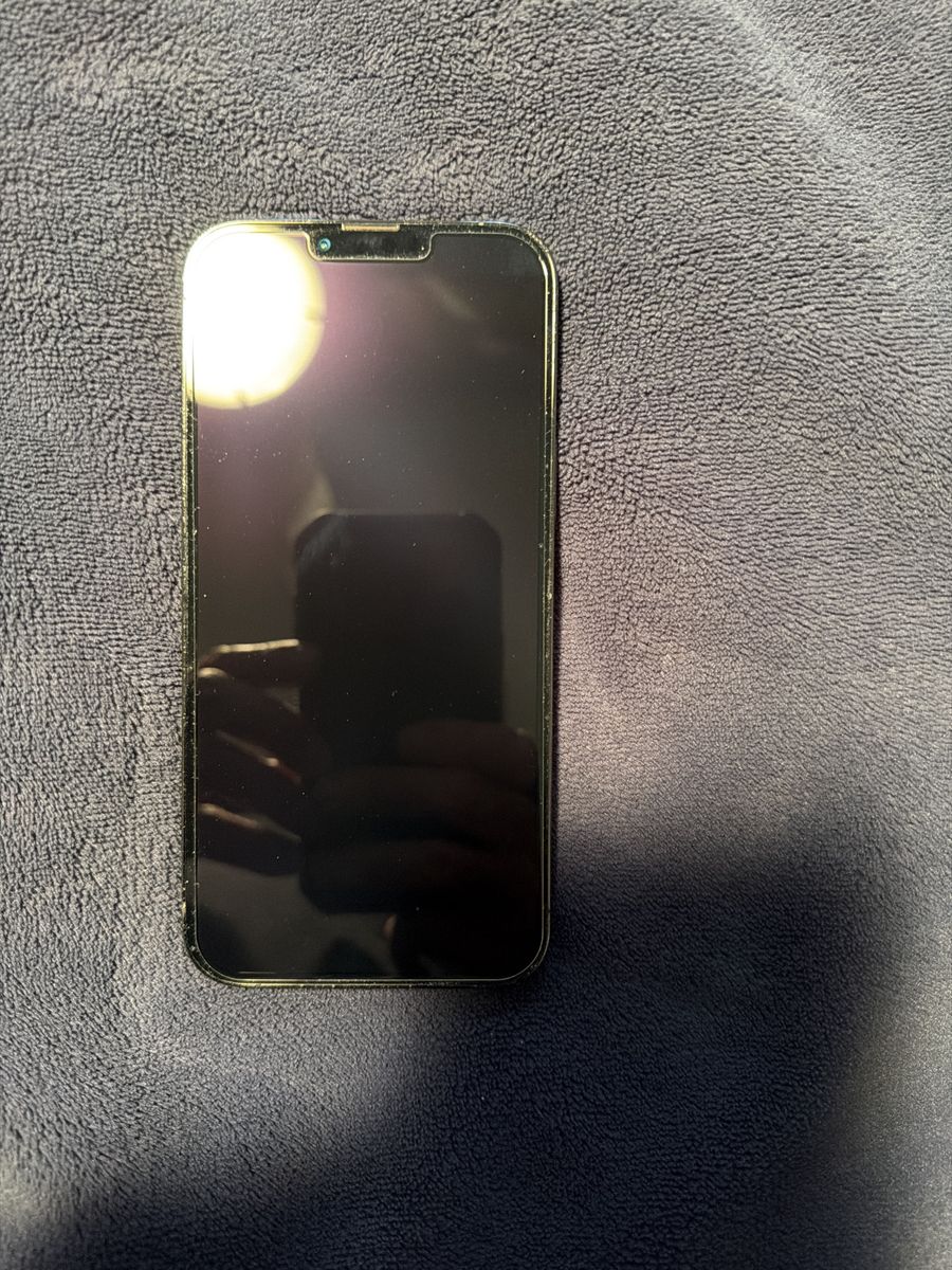 Iphone 13 Promax 256 (unlocked)