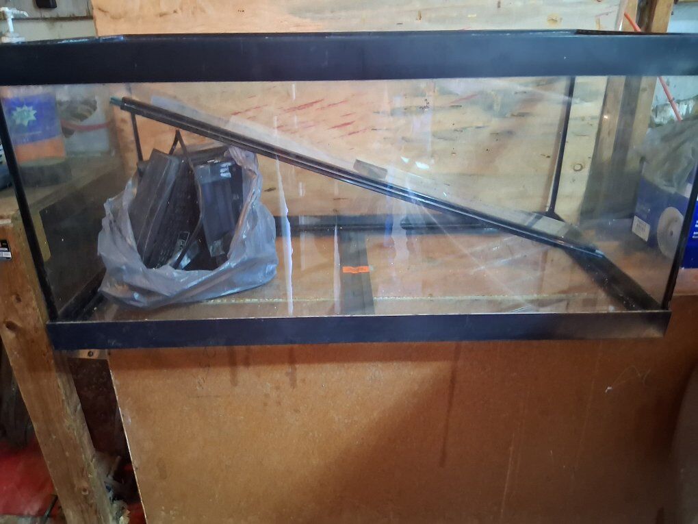 40 gallon fish tank